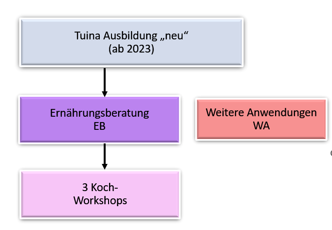 Ablauf Aufschulung Ernährungsberatung nach TCM, Variante 2