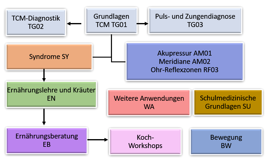 Ablauf Ausbildung Ernährungsberatung nach TCM